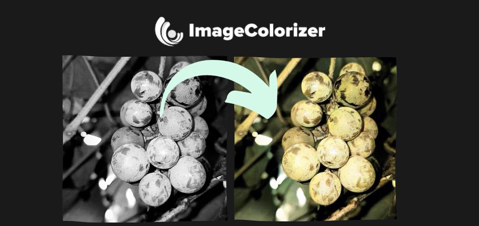 color black and white image using AI example